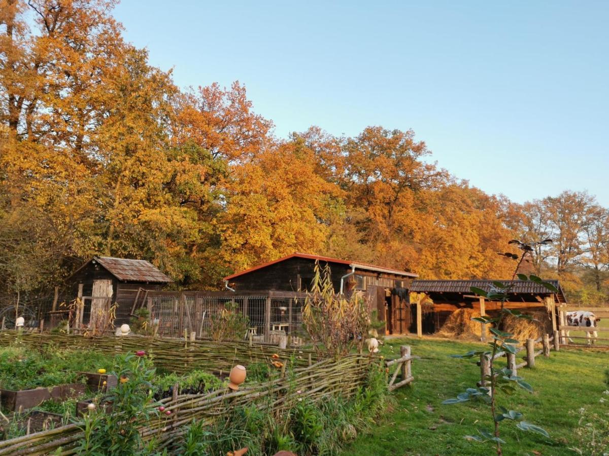 Stajnia Karczow Hotel Екстериор снимка